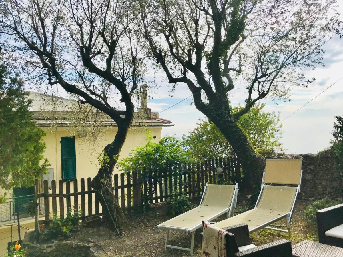 בוליאסקו Agriturismo Le Pale מראה חיצוני תמונה